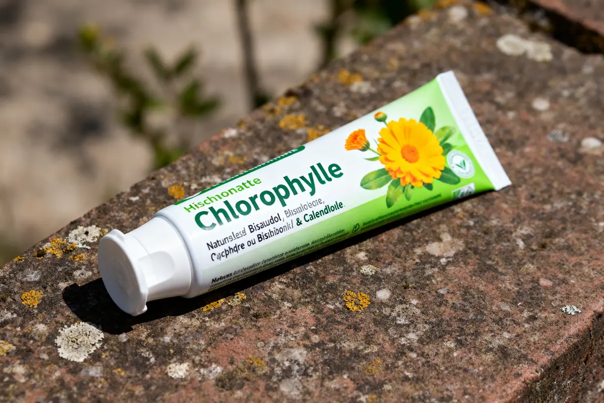Dentifrice homéopathie : Quel soin naturel choisir pour vos gencives ?