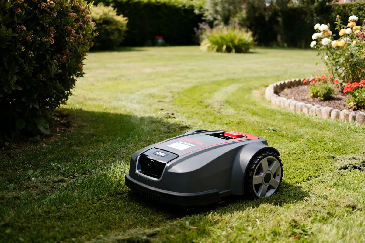 Location tondeuse robot : tarifs, modèles et conseils pratiques