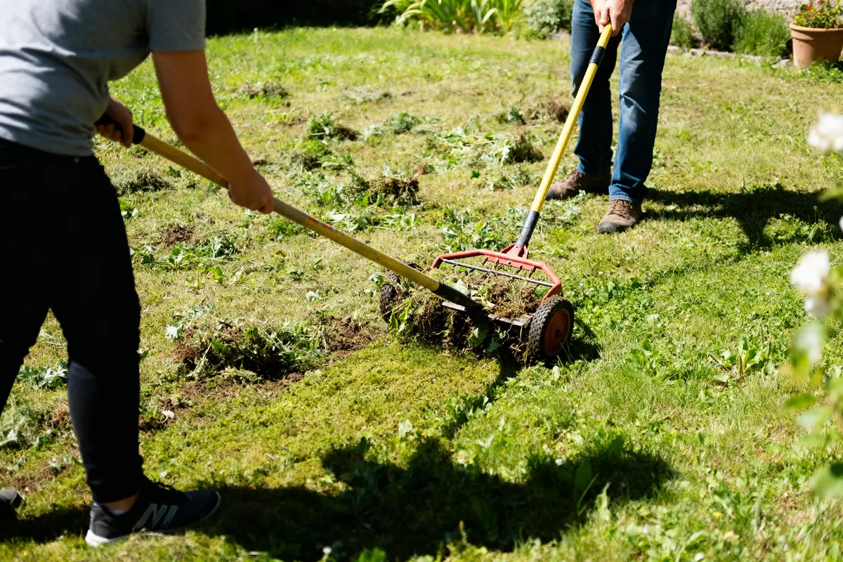 Refaire une pelouse pleine de mauvaises herbes : Guide facile