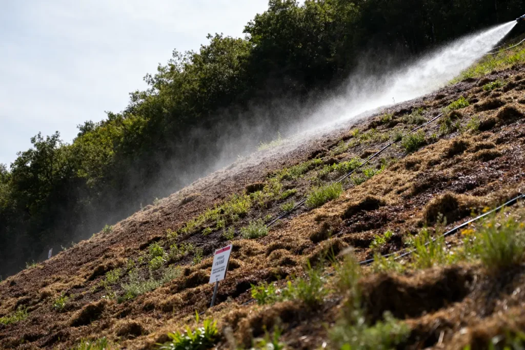 Pente herbeuse irriguée par pulvérisation pour hydroensemencement dans un environnement boisé et ensoleillé