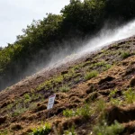 Pente herbeuse irriguée par pulvérisation pour hydroensemencement dans un environnement boisé et ensoleillé
