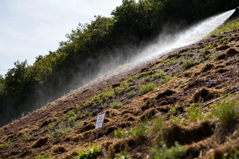 Pente herbeuse irriguée par pulvérisation pour hydroensemencement dans un environnement boisé et ensoleillé