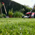 Tondre la pelouse humide sous la pluie avec une tondeuse rouge et une pelle.