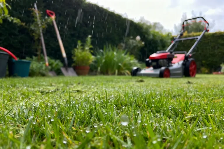 Tondre la pelouse humide sous la pluie avec une tondeuse rouge et une pelle.