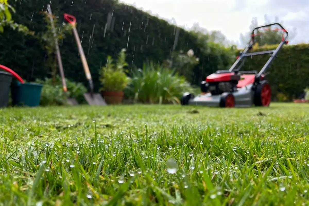 Tonte pelouse humide : astuces, risques et conseils clés