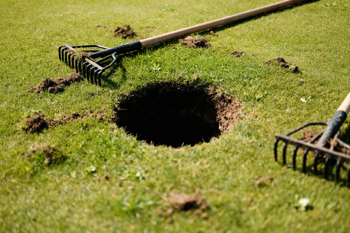 Trou dans la pelouse : Quel animal creuse et comment réparer ?